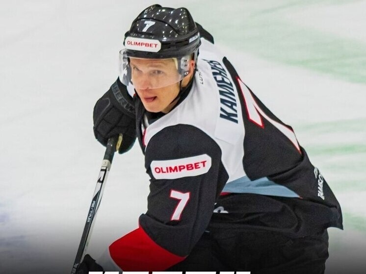     Источник: ХК "Тамбов"