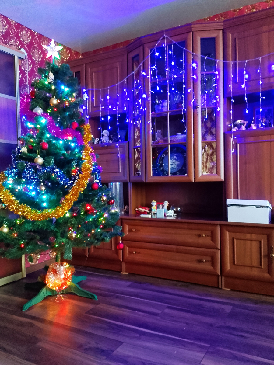 Осталось елку нарядить только у бабушки, где будем встречать Новый год и проведём все каникулы. 