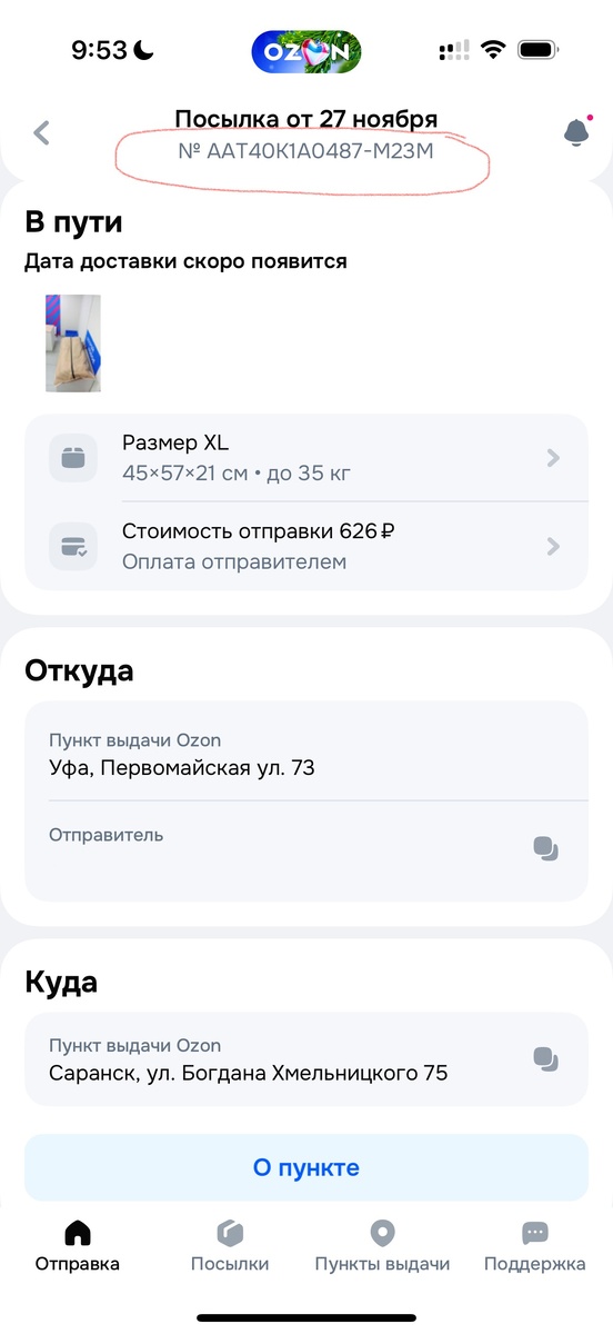 На второй неделе ее пути я забила тревогу