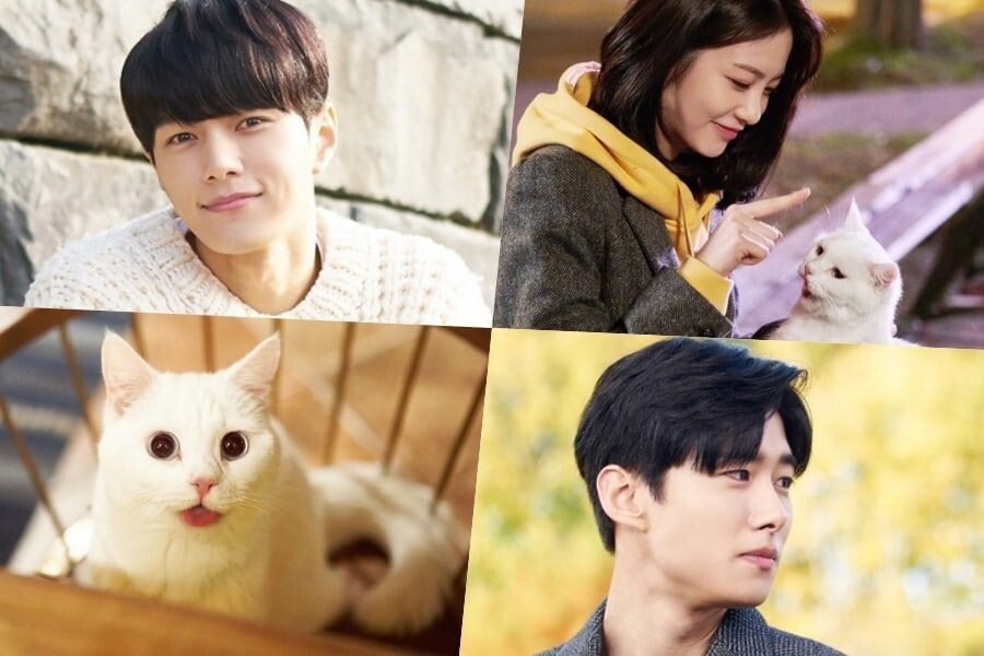 Белый котик, айдол и неловкие ситуации - что ещё нужно для создания настроения?