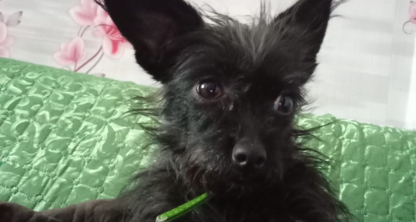    Фото irkutsk.news