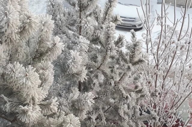   Как часто нужно прогревать автомобиль в сильные морозы?