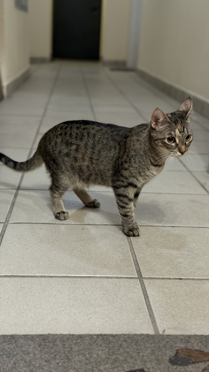 Может Лана мечтает о прогулке?