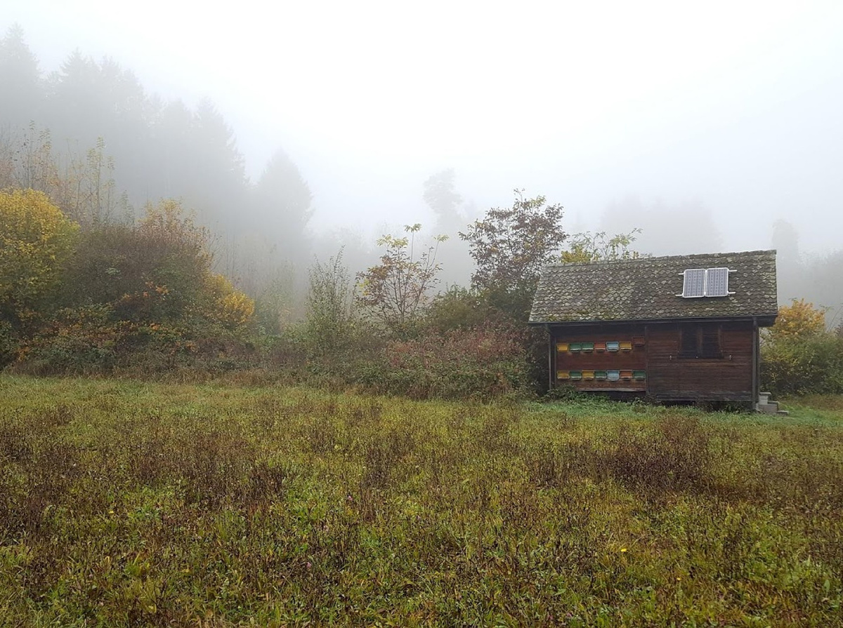 Автономная работа СЭС