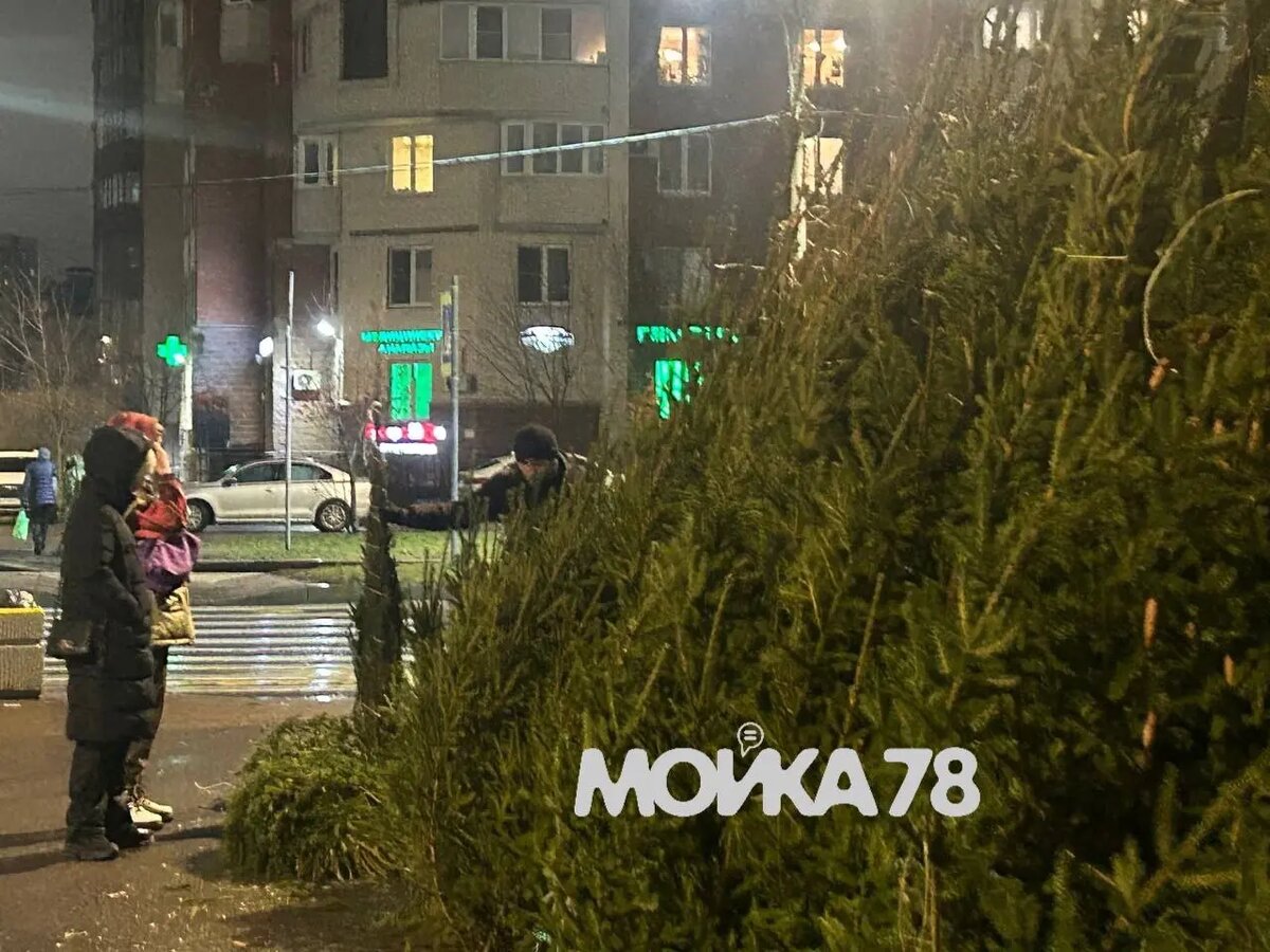    Фото: Мойка78