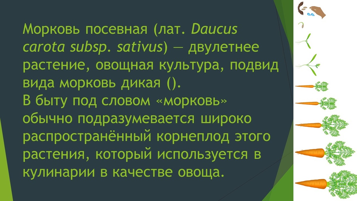 здесь и далее коллажи автора канала