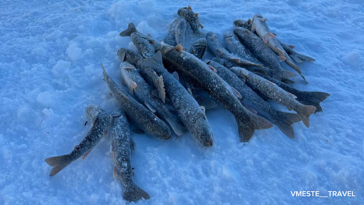 Подлёдная реклама на Камчатке