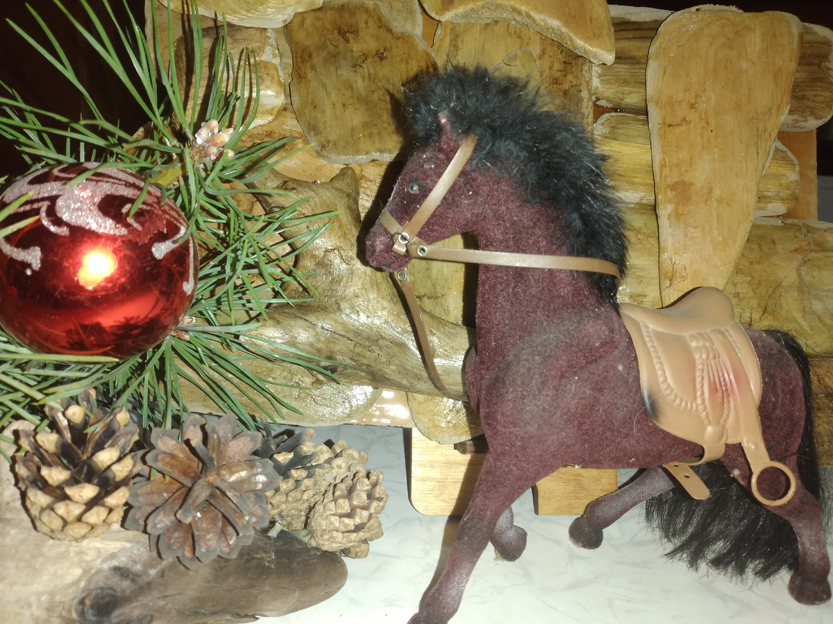 Фото автора. Лошадка ждет:Рискни, и счастье не заставит ждать. Как найти счастье после потери?