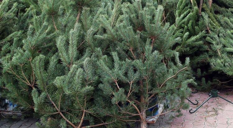 Владимир Юрченко (архив)