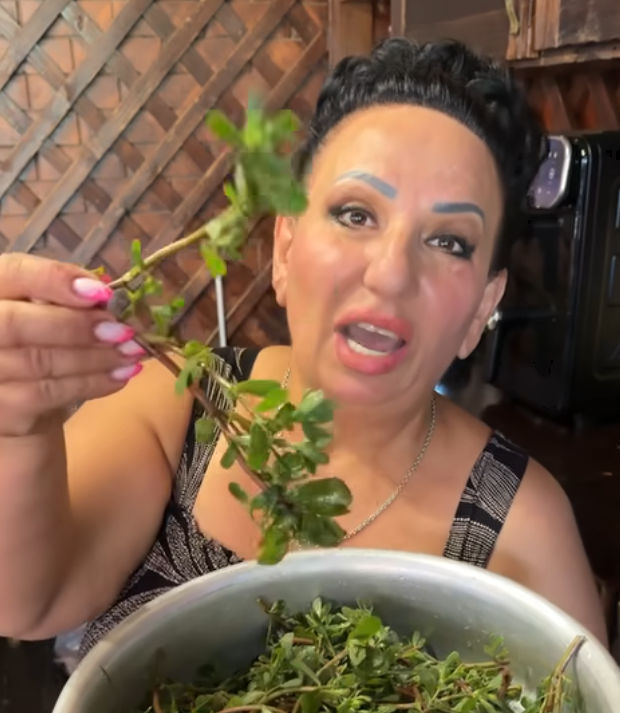 Вот такая дандура!