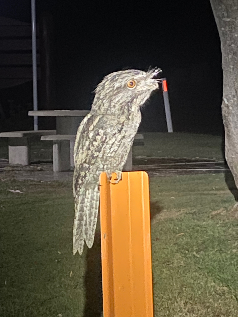 А это и есть наш герой!