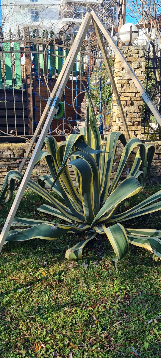 20 декабря 2025