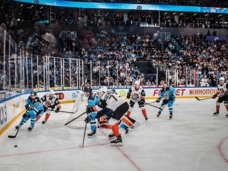     Фото: Денис Винокуров / АиФ-Новосибирск