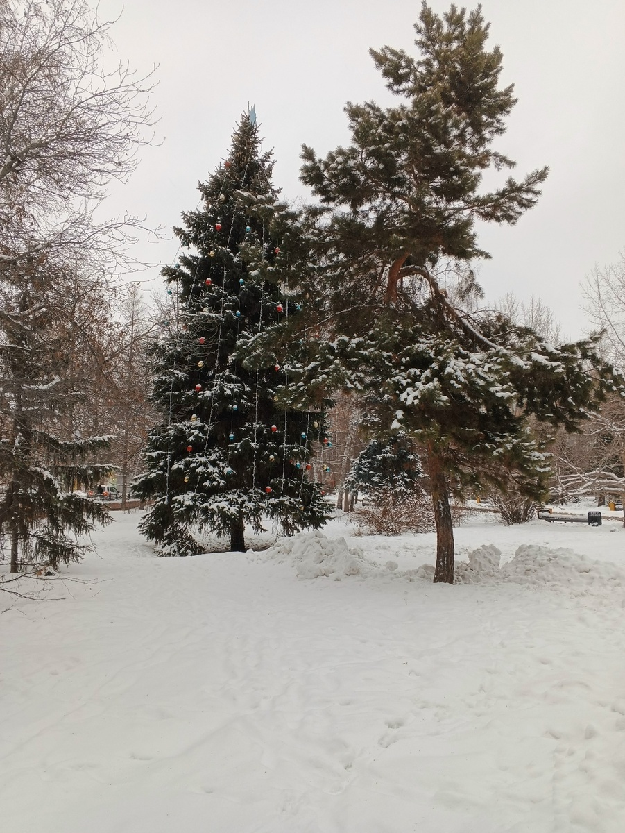 Сквер образца 15.12.25