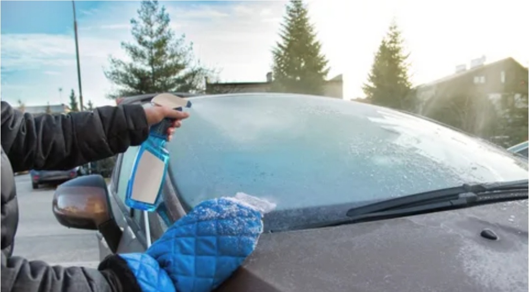 Фото из открытых источников 