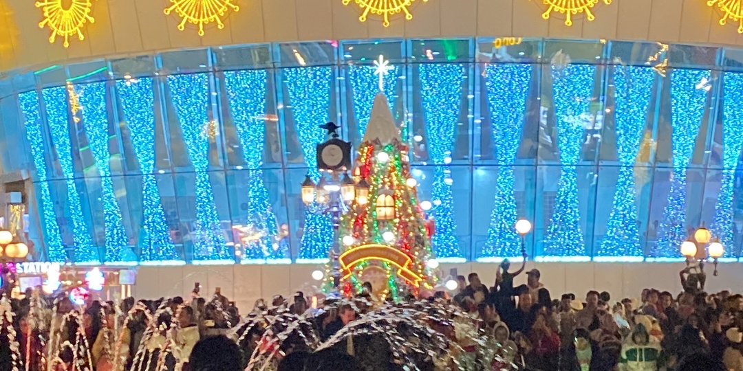 Отдых в Шарм эль шейхе в преддверии Нового года