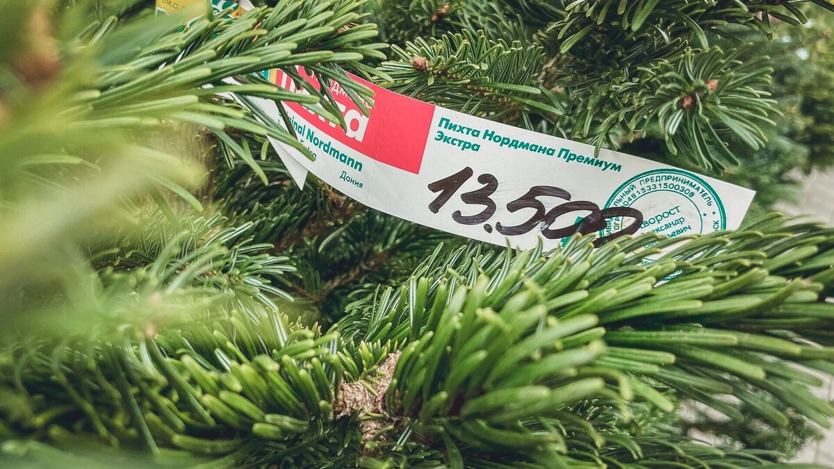     Источник: 1MI