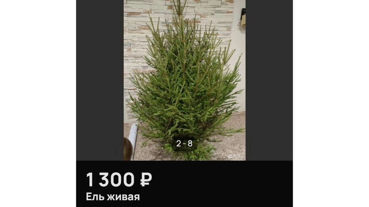     Источник: Avito