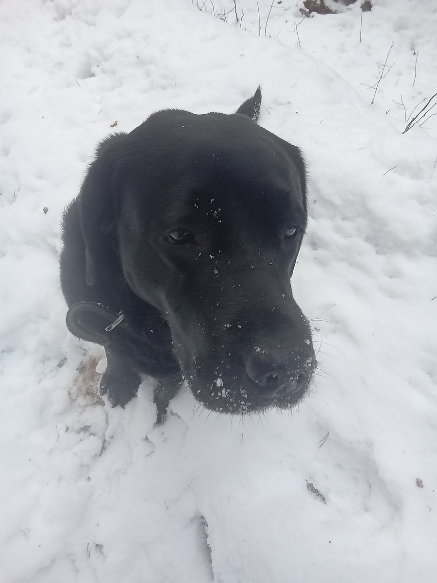 Фото автора. 