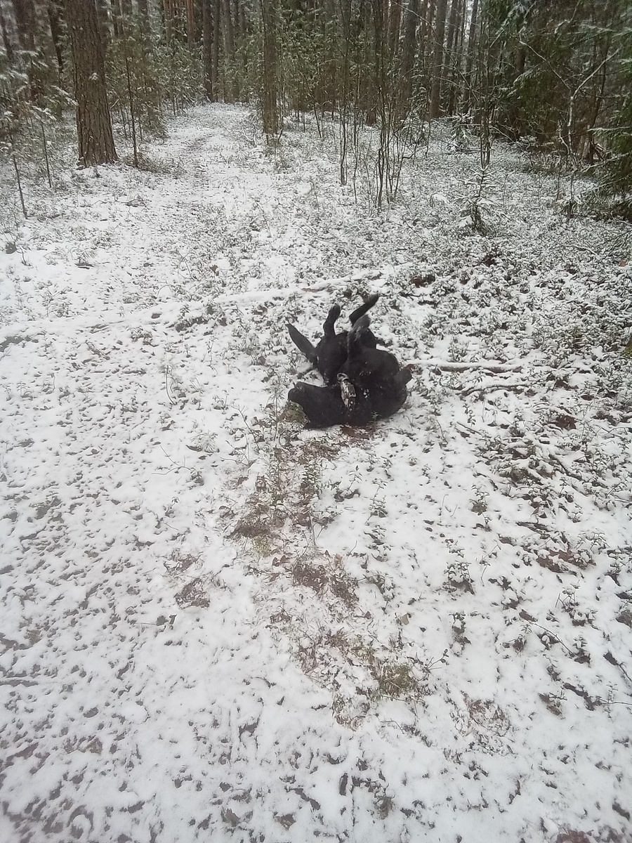 Фото автора. 