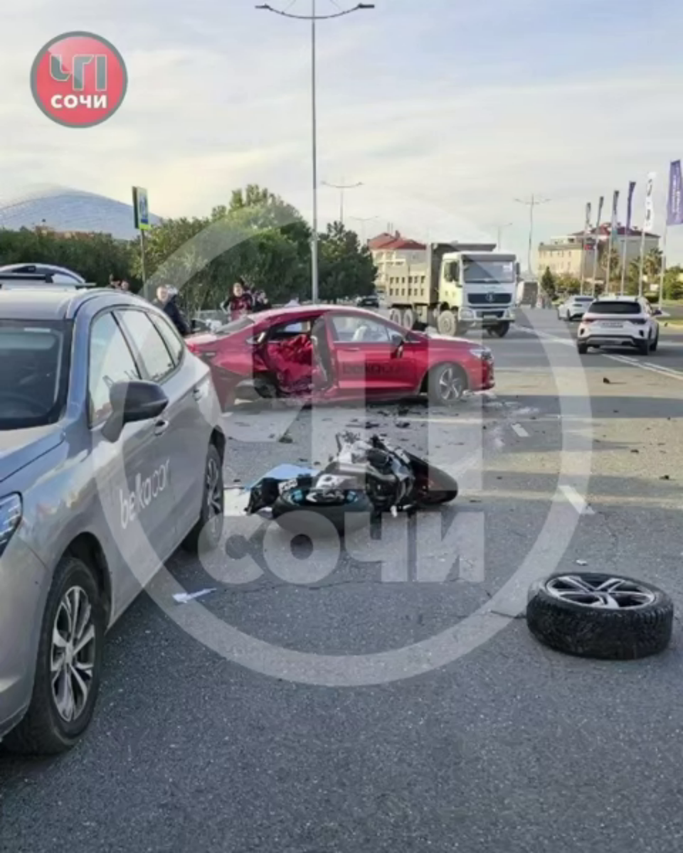    Фото: Telegram/ЧП Сочи