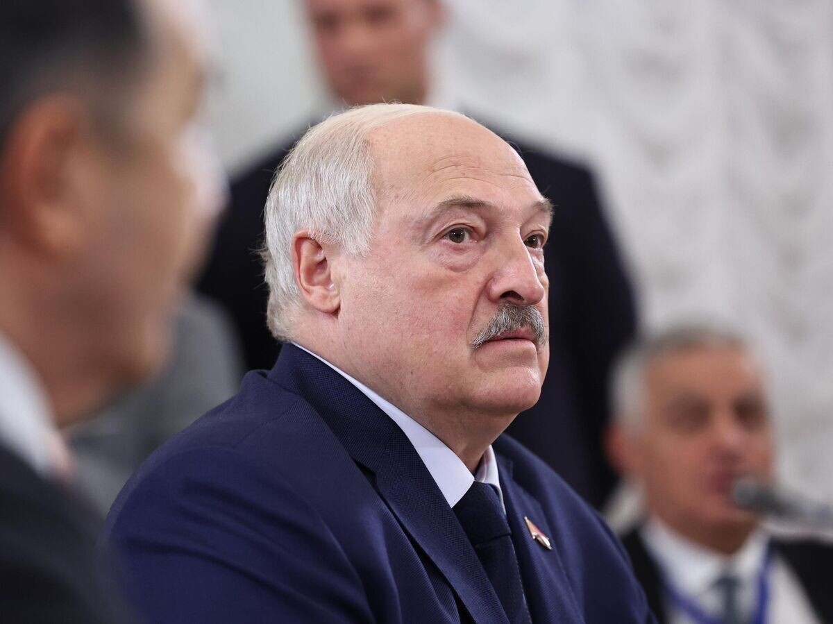    Президент Белоруссии Александр Лукашенко на заседании Высшего Евразийского экономического совета в Санкт-Петербурге | © РИА Новости / POOL