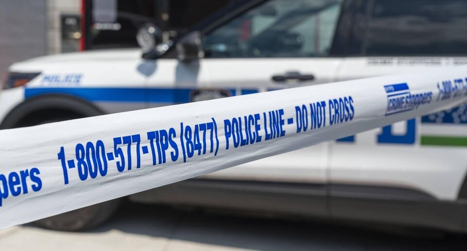    IMAGO/Ron Adar / www.globallookpress.com