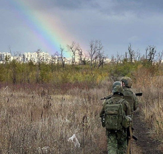 Над раненым лесом и выжженным полем