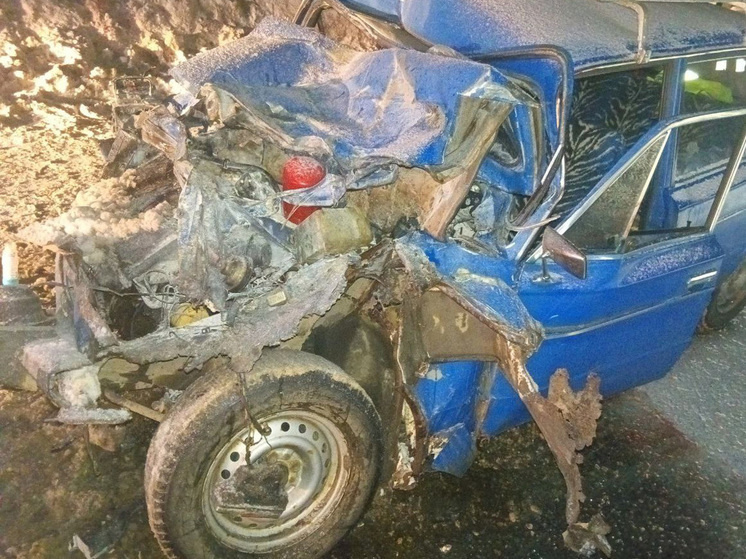     Фото: пресс-служба УМВД России по Архангельской области.