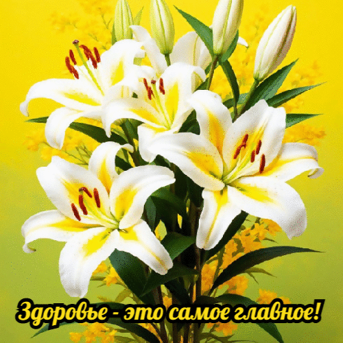 Здоровье-это самое главное