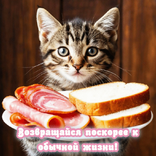 Возвращайся к обычной жизни