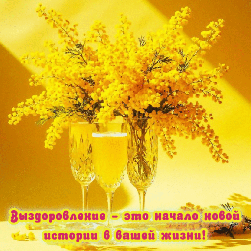 Начало новой истории в жизни