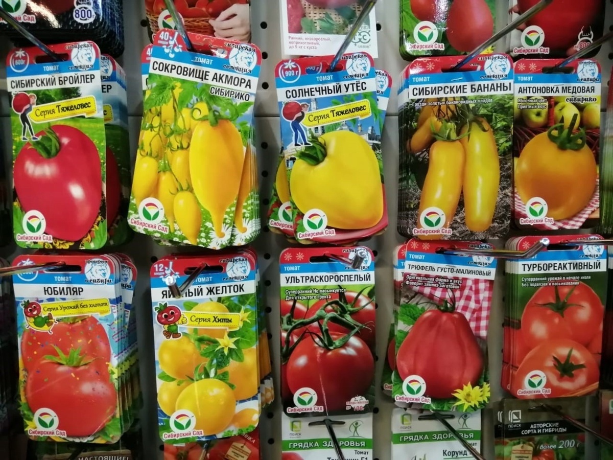     «Алтын ҡәйнә»не лә, «Ерән кәләш»те лә алмағыҙ