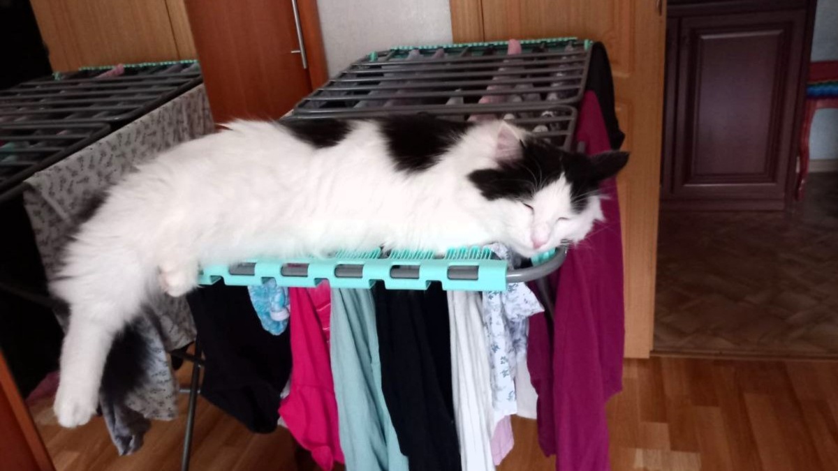 Филя. Который в приюте был Барсуком. ЕЩЕ фото --->>