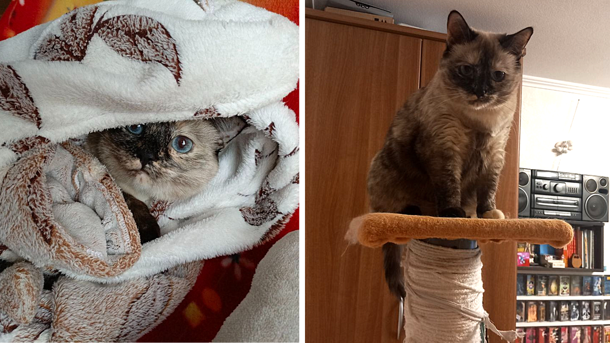 Зинаида Пиповна.  ЕЩЕ фото --->>