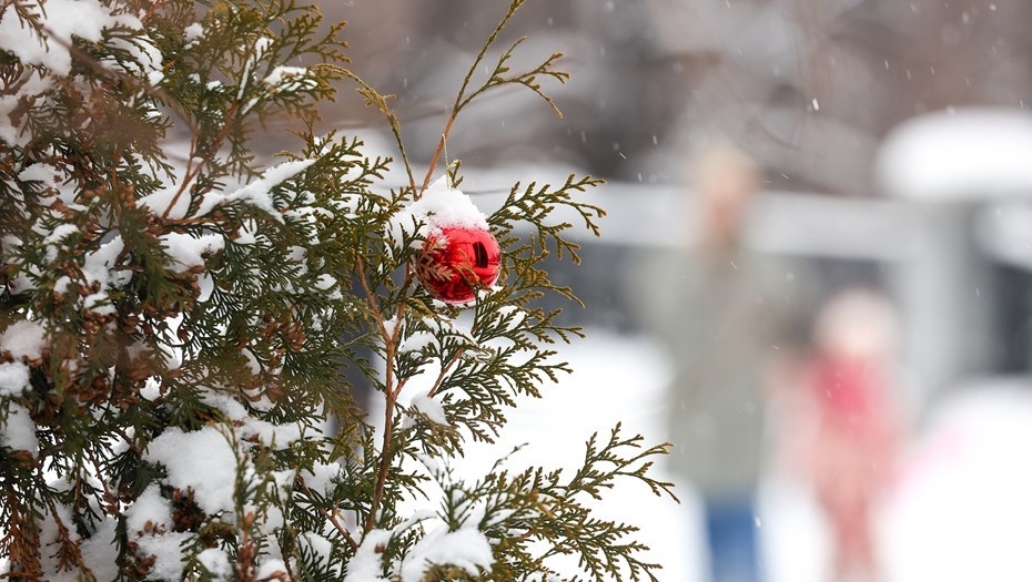 Фото: Донат Сорокин / ТАСС
