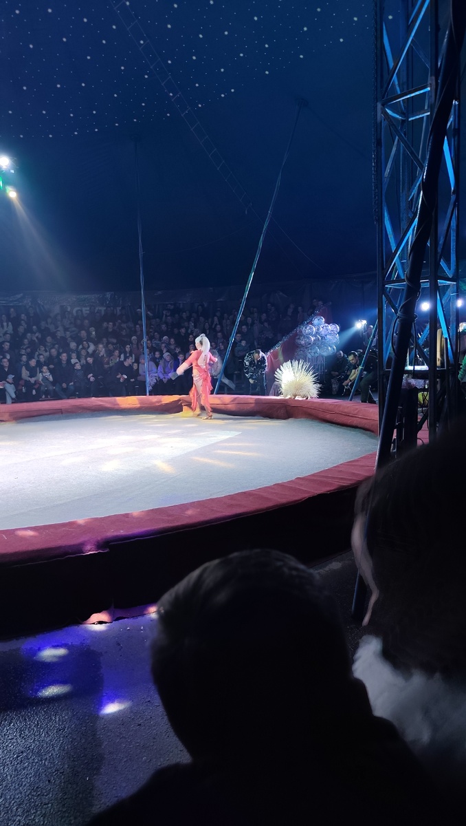 Вот это дикабраз