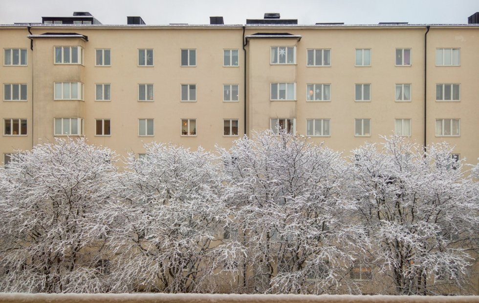 Фото с сайта: freepik.com