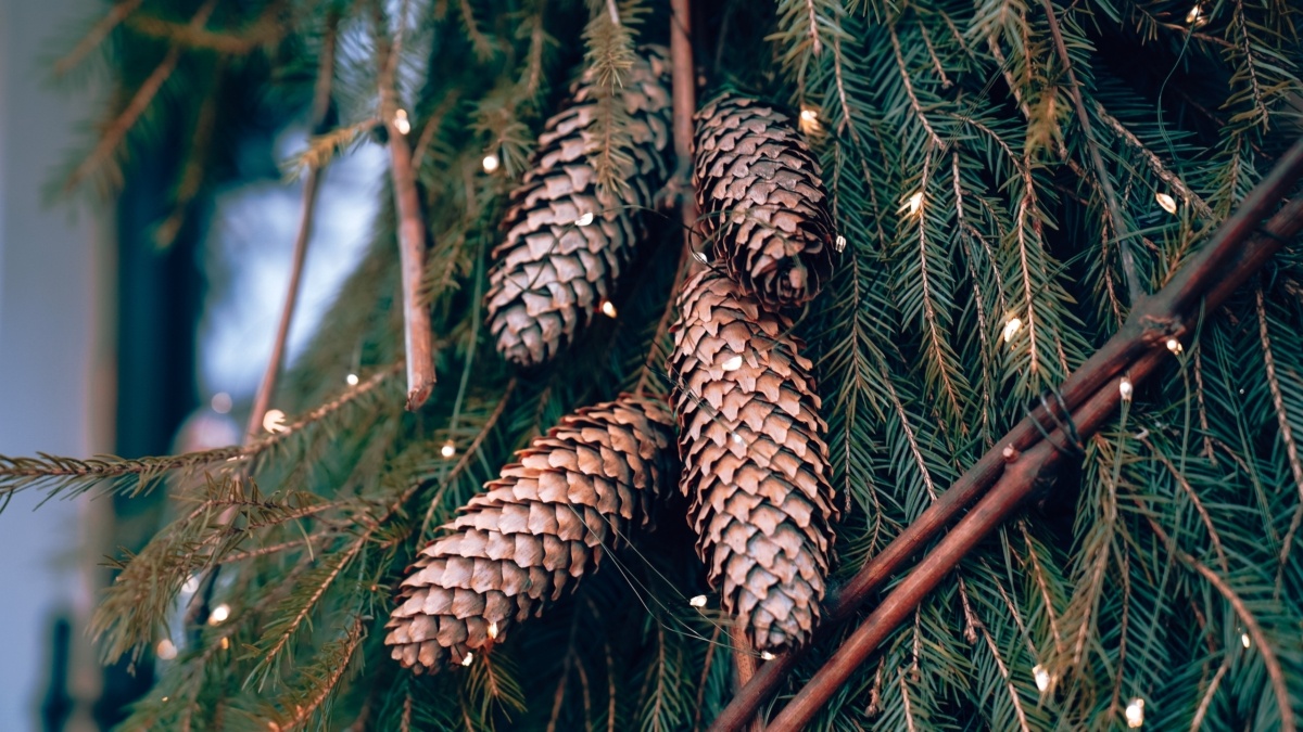 Светлана Мулыкина📷
