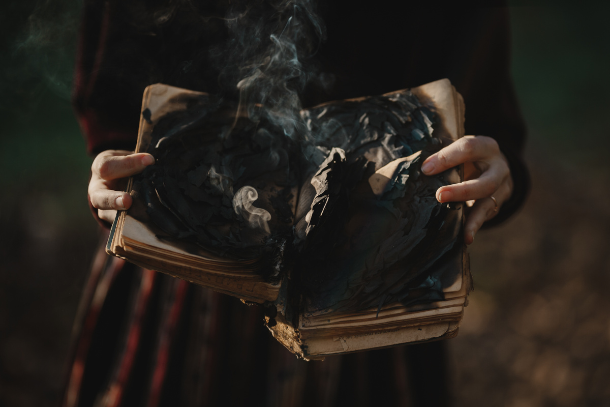 Изображение взято с стокового сайта фотографий интернета