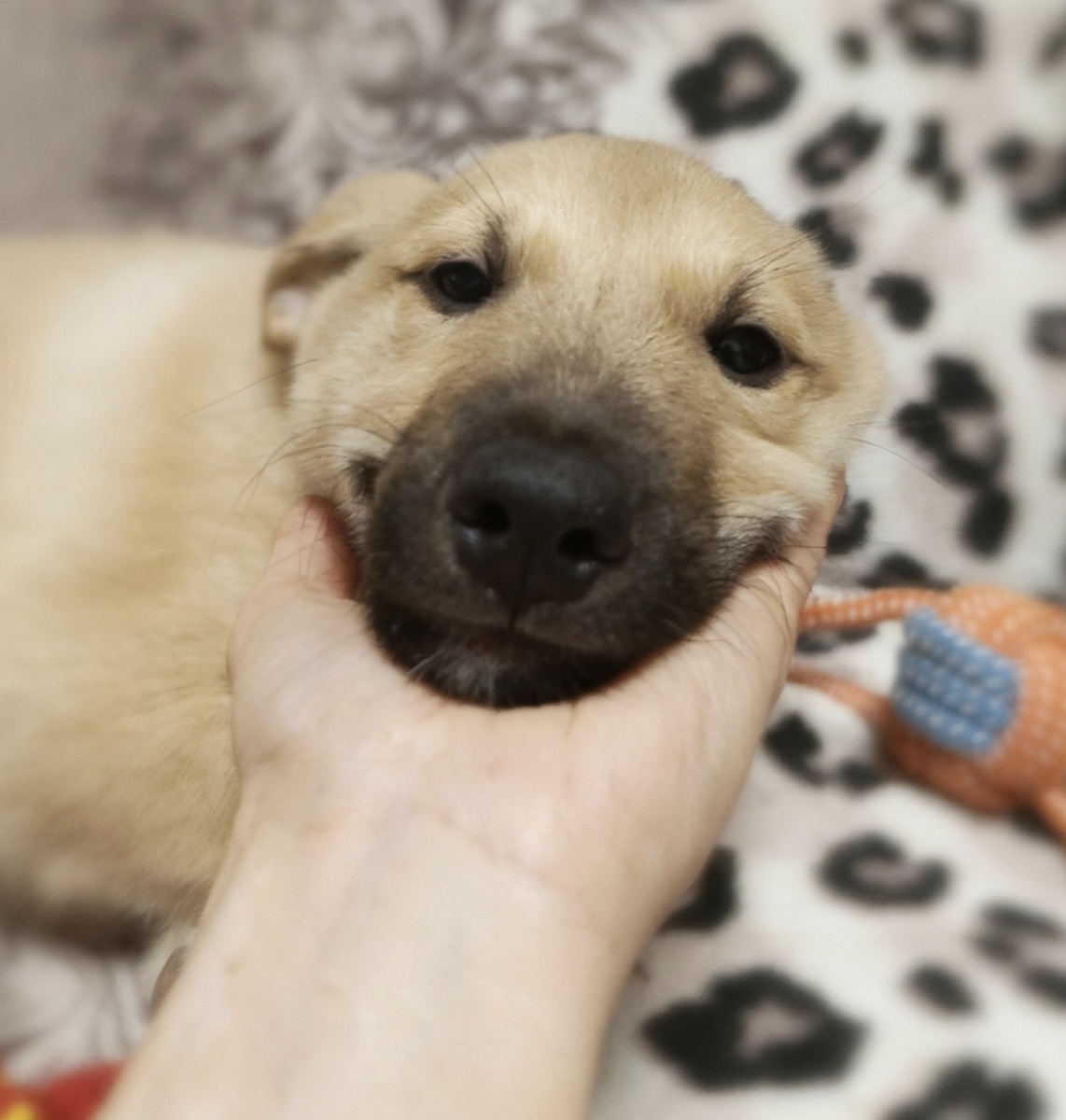 " Я буду любить тебя очень - очень!"