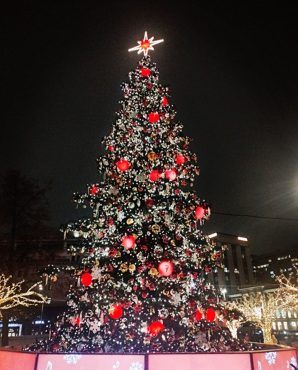 Здесь и далее фото автора. 