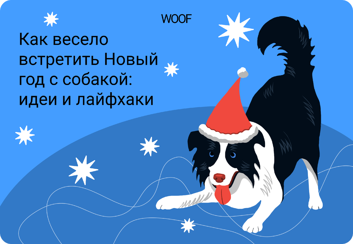 Игривый аусси ловит снежинки. Иллюстрация автора статьи