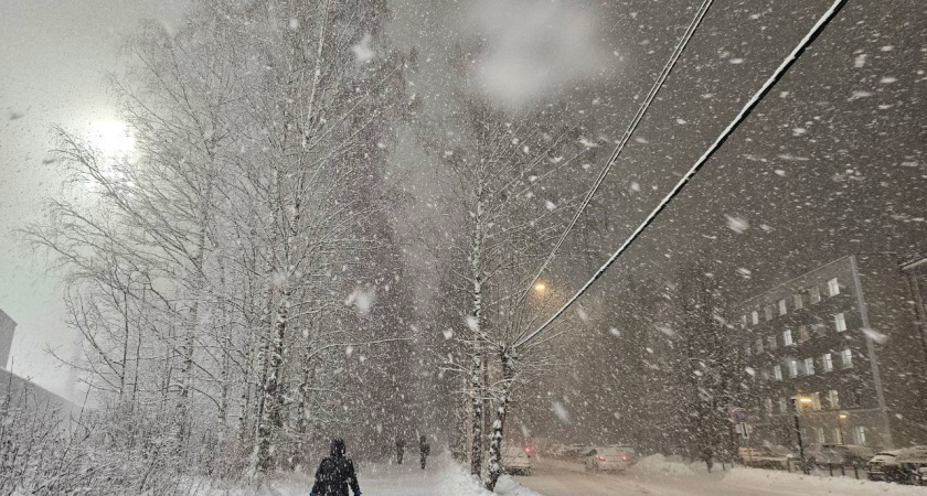    Фото редакции