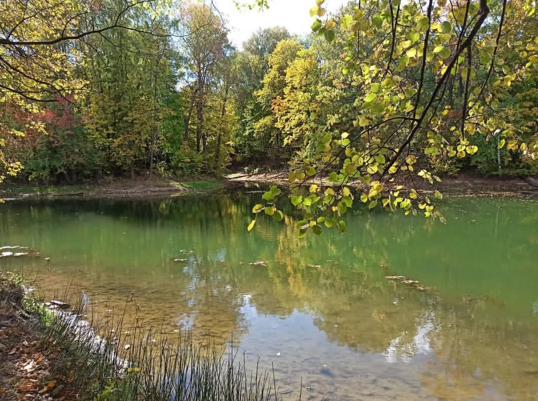 Озеро Дамба летом