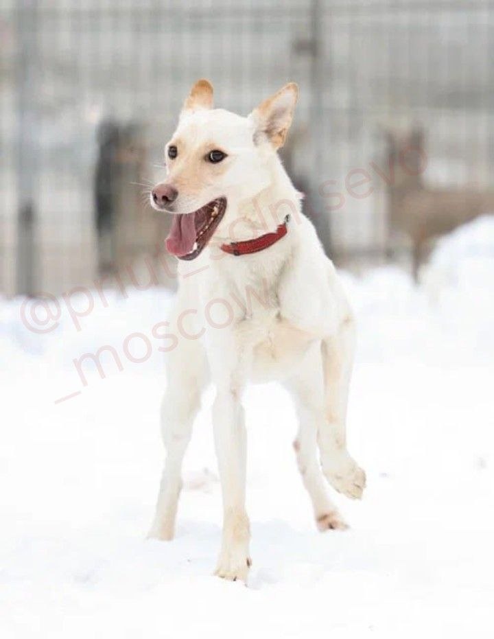 Айдате гулять! Грустить времени нету