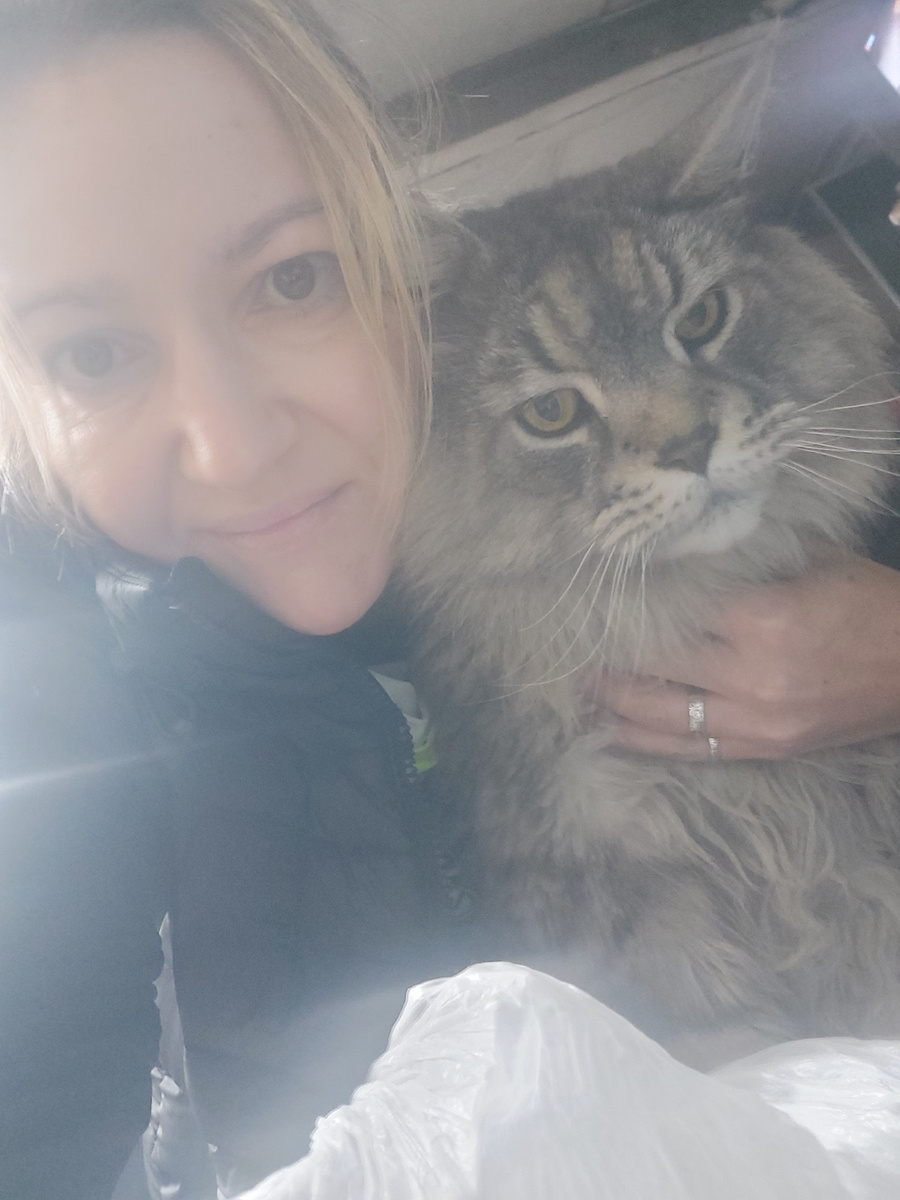 Котик не мой, автосервисный. Но я каждый раз обнимаюсь с ним, когда переобуваю машинку. Он восхитительный.