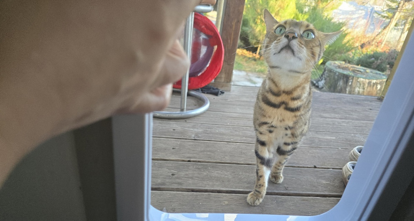    Фото Анастасии Дмитриевой