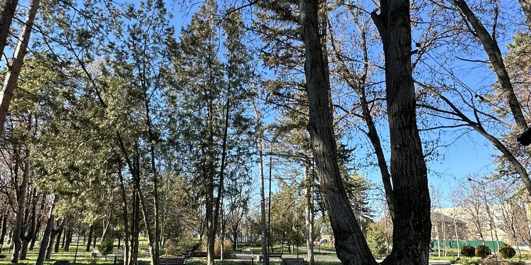 Какие секреты долголетия скрывают Ессентуки