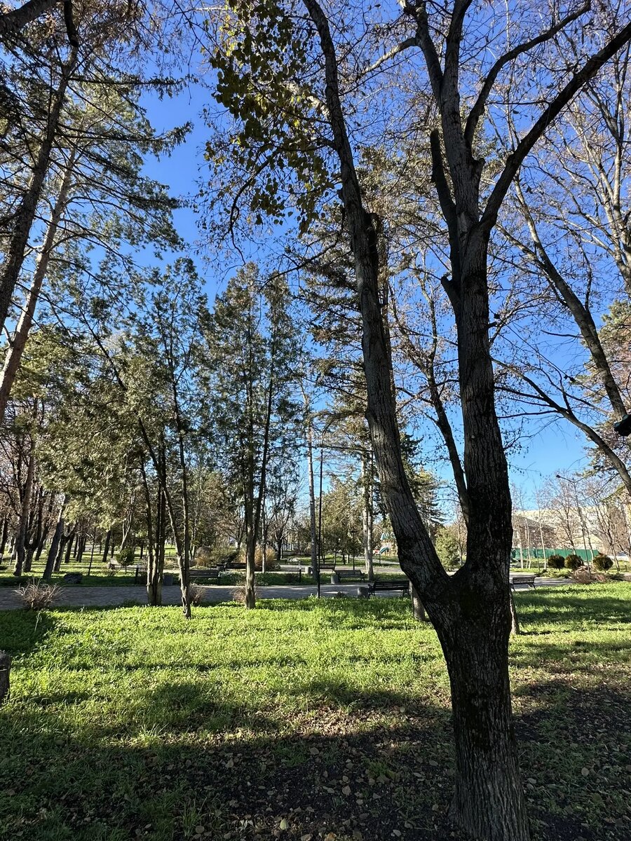 Прекрасные Ессентуки